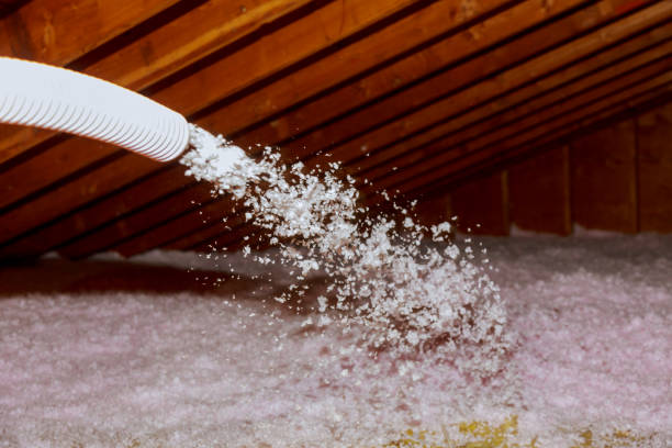 Best Crawl Space Insulation  in Sumrall, MS