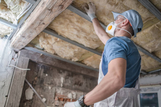Best Attic Insulation Near Me  in Sumrall, MS