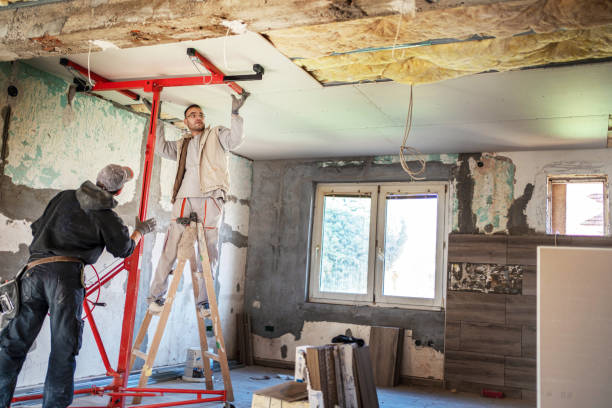 Best Insulation Removal  in Sumrall, MS