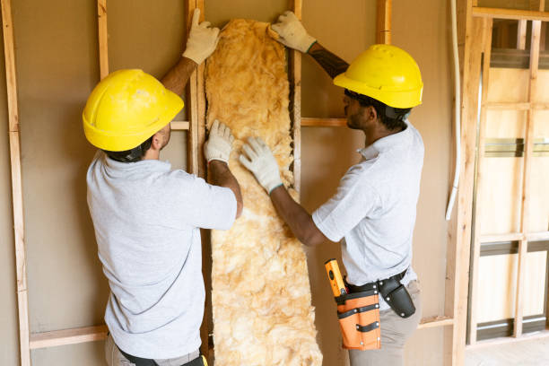 Best Insulation Contractors for Homes  in Sumrall, MS