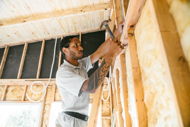 Best Blown-in Insulation  in Sumrall, MS