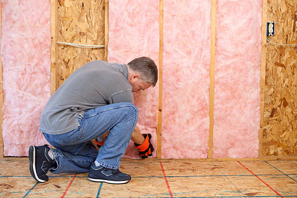 Best Spray Foam Insulation  in Sumrall, MS