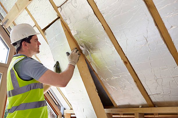 Best Insulation for New Construction  in Sumrall, MS